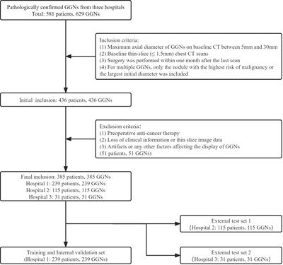 Baseline whole-lung CT features deriving from deep learning and radiomics: prediction of benign and malignant pulmonary ground-glass nodules